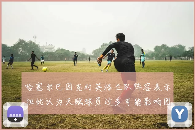哈塞尔巴因克对英格兰队阵容表示担忧认为天赋球员过多可能影响团队合作