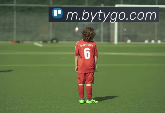 博鱼体育平台生态图