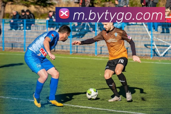 博鱼体育APP 封面图